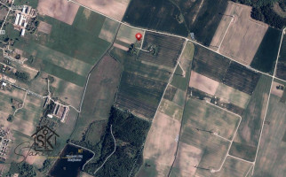 PARDUODAMAS 87.56 ARŲ SKLYPAS KIAULEIKIŲ K., KALVIO G. 15 19