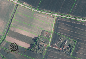 PARDUODAMAS 87.56 ARŲ SKLYPAS KIAULEIKIŲ K., KALVIO G. 15 20