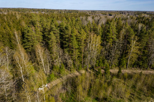 RAMIOJE VIETOJE PARDUODAMAS 4.6397 HA REKREACINĖS PASKIRTIES ŽEMĖS SKLYPAS 6