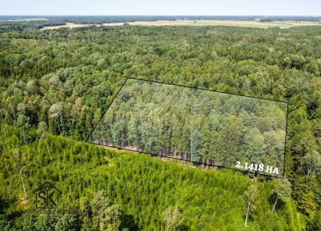 PARDUODAMAS 2.1418 HA MIŠKŲ ŪKIO ŽEMĖS SKLYPAS PAULAIČIŲ K.
