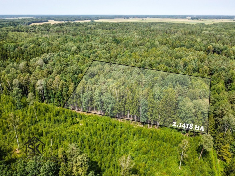 PARDUODAMAS 2.1418 HA MIŠKŲ ŪKIO ŽEMĖS SKLYPAS PAULAIČIŲ K. 1