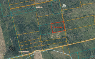PARDUODAMAS 2.1418 HA MIŠKŲ ŪKIO ŽEMĖS SKLYPAS PAULAIČIŲ K. 11
