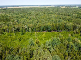 PARDUODAMAS 2.1418 HA MIŠKŲ ŪKIO ŽEMĖS SKLYPAS PAULAIČIŲ K. 15