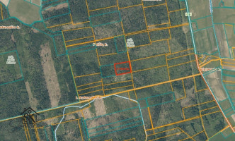 PARDUODAMAS 2.1418 HA MIŠKŲ ŪKIO ŽEMĖS SKLYPAS PAULAIČIŲ K. 16