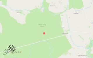 PARDUODAMAS 2.1418 HA MIŠKŲ ŪKIO ŽEMĖS SKLYPAS PAULAIČIŲ K. 17
