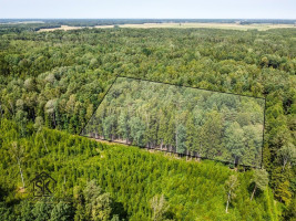 PARDUODAMAS 2.1418 HA MIŠKŲ ŪKIO ŽEMĖS SKLYPAS PAULAIČIŲ K. 19