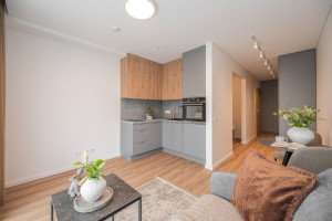 Nuomojamas butas Lietaus g., Lazdynėliai, Vilniaus m., Vilniaus m. sav., 30.37 m2 ploto, 1 kambariai 5