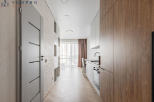 Nuomojamas butas Viršilų g., Viršuliškės, Vilniaus m., Vilniaus m. sav., 28 m2 ploto, 1 kambariai 8