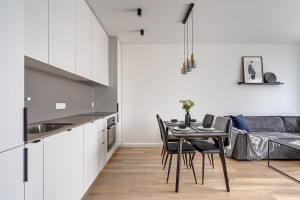 Nuomojamas butas Giedraičių g., Šnipiškės, Vilniaus m., Vilniaus m. sav., 47.04 m2 ploto, 2 kambariai 11
