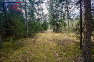 Parduodamas sklypas Urkionių k., Varėnos r. sav., 473.67 a ploto 18