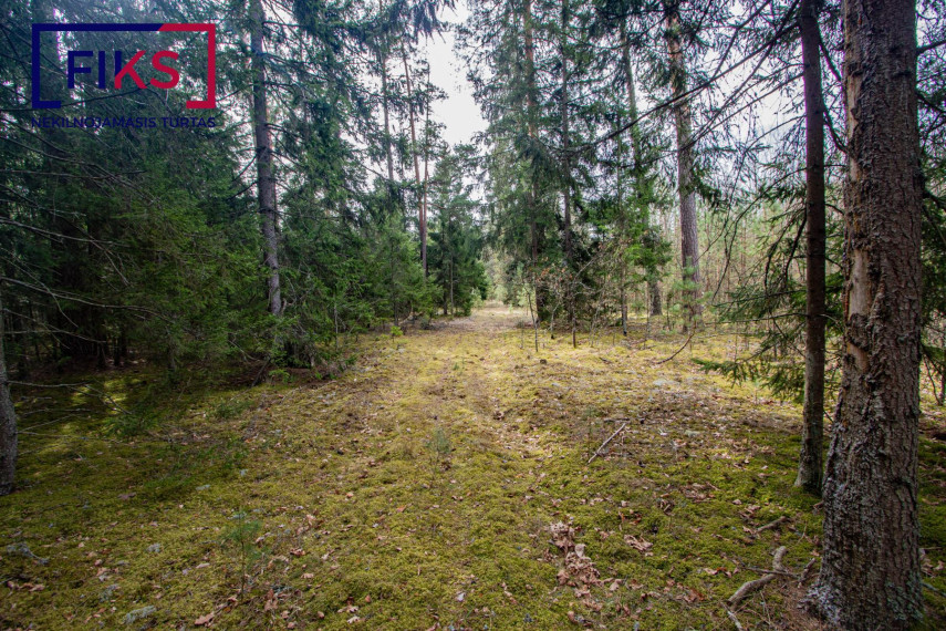 Parduodamas sklypas Urkionių k., Varėnos r. sav., 473.67 a ploto 18