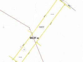 Parduodamas  sklypas Ateities g., Dainų k., Šiaulių r. sav., 50.31 a ploto 2