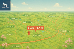 Parduodamas kitos paskirties sklypas Žikaronių k., Elektrėnų sav., 13170 a ploto 12