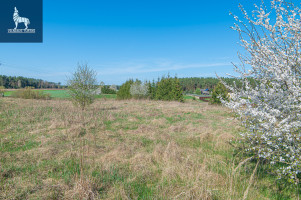 Parduodamas kitos paskirties sklypas Senoji g., Paluknio k., Trakų r. sav., 105 a ploto 2