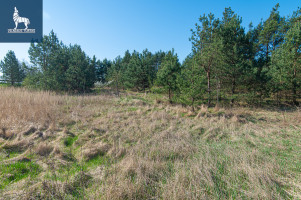 Parduodamas kitos paskirties sklypas Senoji g., Paluknio k., Trakų r. sav., 105 a ploto 11