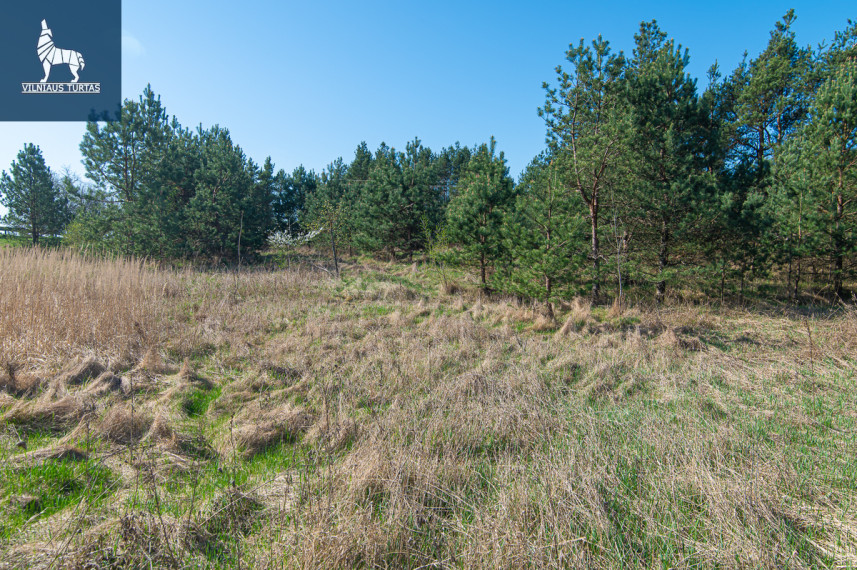 Parduodamas kitos paskirties sklypas Senoji g., Paluknio k., Trakų r. sav., 105 a ploto 11