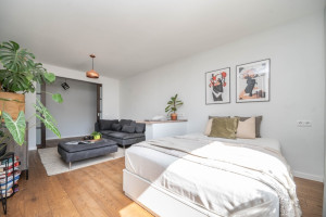 Parduodamas butas Buivydiškių g., Šeškinė, Vilniaus m., Vilniaus m. sav., 42.83 m2 ploto, 1 kambariai 8