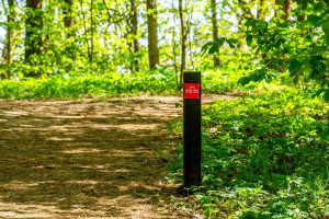 Parduodamas butas Buivydiškių g., Šeškinė, Vilniaus m., Vilniaus m. sav., 42.83 m2 ploto, 1 kambariai 35