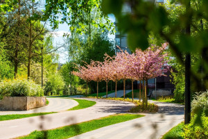 Parduodamas butas Buivydiškių g., Šeškinė, Vilniaus m., Vilniaus m. sav., 42.83 m2 ploto, 1 kambariai 37