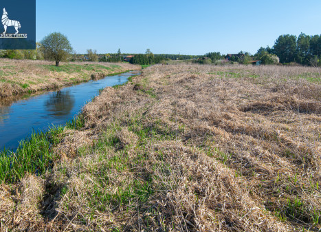 Parduodamas  sklypas Paluknio k., Trakų r. sav., 50 a ploto