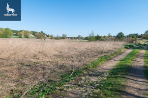 Parduodamas  sklypas Paluknio k., Trakų r. sav., 50 a ploto 4