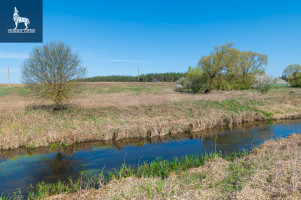 Parduodamas  sklypas Paluknio k., Trakų r. sav., 50 a ploto 5
