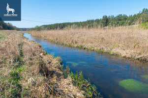 Parduodamas  sklypas Paluknio k., Trakų r. sav., 50 a ploto 7