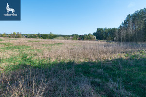 Parduodamas  sklypas Paluknio k., Trakų r. sav., 50 a ploto 9