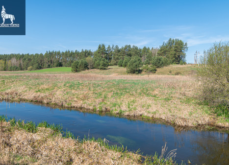 Parduodamas  sklypas Paluknio k., Trakų r. sav., 125 a ploto