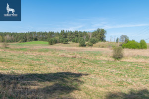 Parduodamas  sklypas Paluknio k., Trakų r. sav., 125 a ploto 2