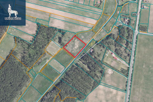 Parduodamas  sklypas Paluknio k., Trakų r. sav., 125 a ploto 3