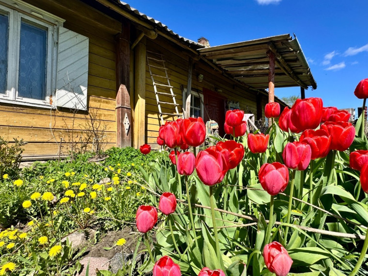 Parduodamas namas Starkonių k., Kupiškio r. sav., 103.6 m2 ploto, 1 aukštai 4
