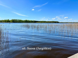 Parduodamas namas Starkonių k., Kupiškio r. sav., 103.6 m2 ploto, 1 aukštai 22