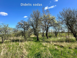 Parduodamas namas Starkonių k., Kupiškio r. sav., 103.6 m2 ploto, 1 aukštai 29