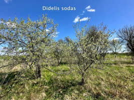 Parduodamas namas Starkonių k., Kupiškio r. sav., 103.6 m2 ploto, 1 aukštai 30