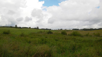 Parduodamas sklypas Brinkiškių k., Vilniaus r. sav., 180 a ploto 4