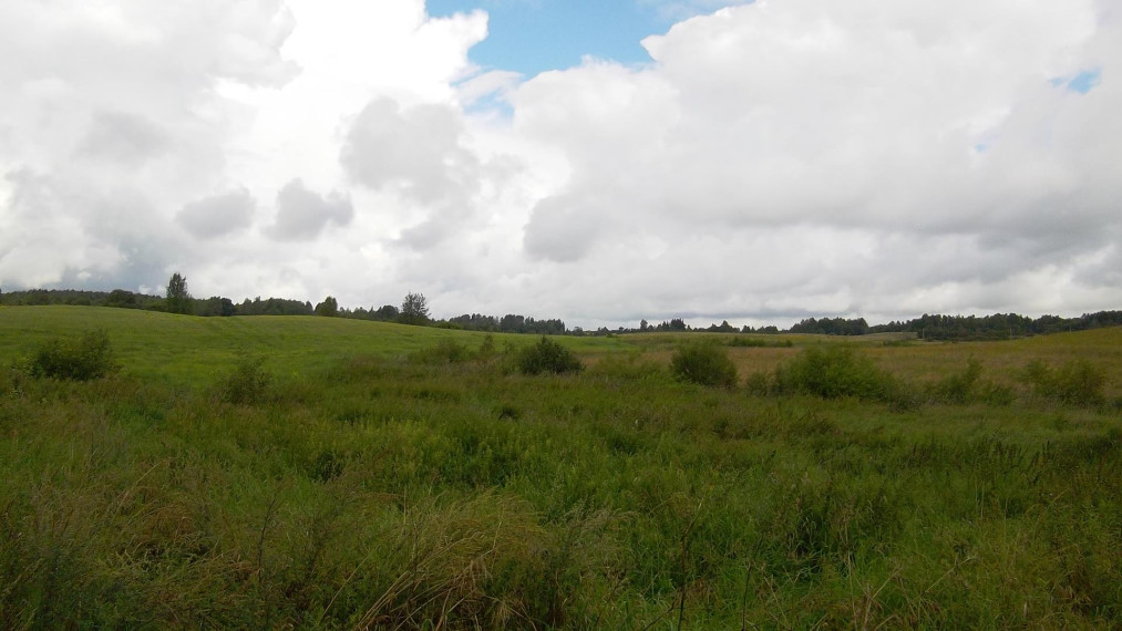 Parduodamas sklypas Brinkiškių k., Vilniaus r. sav., 180 a ploto 4