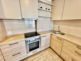 Nuomojamas butas Kernavės g., Šnipiškės, Vilniaus m., Vilniaus m. sav., 45 m2 ploto, 2 kambariai 4