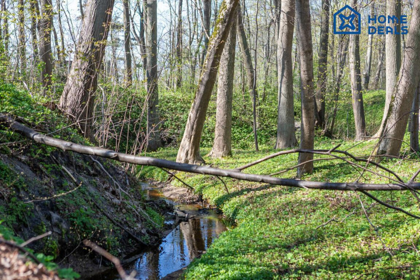 Parduodamas namas Placio g., Karklės k., Klaipėdos r. sav., 91.61 m² ploto 3 kambariai 36