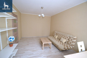 Nuomojamas butas S. Stanevičiaus g., Fabijoniškės, Vilniaus m., Vilniaus m. sav., 35 m2 ploto, 1 kambariai 4