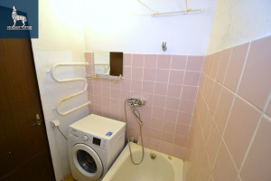 Nuomojamas butas S. Stanevičiaus g., Fabijoniškės, Vilniaus m., Vilniaus m. sav., 35 m2 ploto, 1 kambariai 12