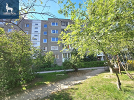 Nuomojamas butas S. Stanevičiaus g., Fabijoniškės, Vilniaus m., Vilniaus m. sav., 35 m2 ploto, 1 kambariai 16