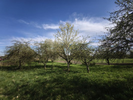 Parduodamas namas Drąsėnų k., Utenos r. sav., 80 m² ploto 2 kambariai 13