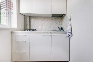 Nuomojamas butas Žirmūnų g., Žirmūnai, Vilniaus m., Vilniaus m. sav., 22 m2 ploto, 1 kambariai 5
