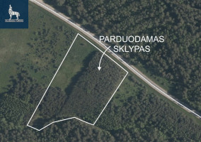 Parduodamas  sklypas Kirneilės k., Molėtų r. sav., 150 a ploto 10