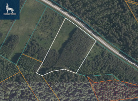 Parduodamas  sklypas Kirneilės k., Molėtų r. sav., 150 a ploto 13