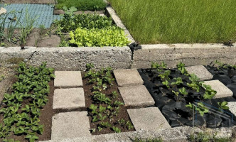 Parduodamas namas Derceklių k., Klaipėdos r. sav., 19 m2 ploto 5