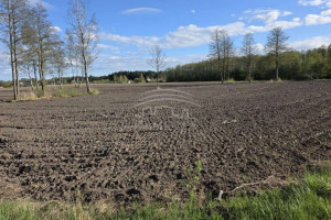 Parduodamas namas Šiūparių k., Klaipėdos r. sav., 160 m2 ploto, 1 aukštai 9