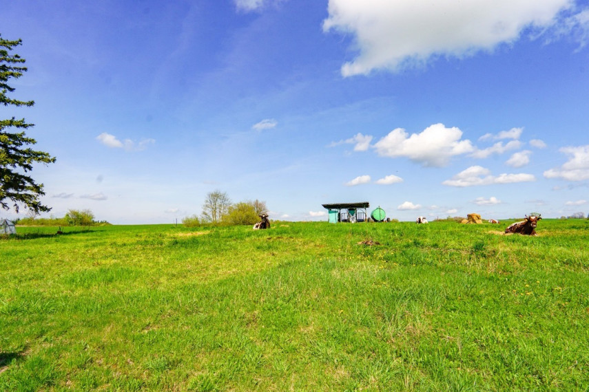 Parduodamas namas Pakruojo r. sav., Laborų k., Mūšos, 58.66 m2 ploto, 1 aukštai 23