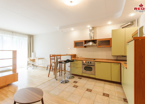 Nuomojamas butas Lūšių g., Žvėrynas, Vilniaus m., Vilniaus m. sav., 43 m2 ploto, 1 kambariai